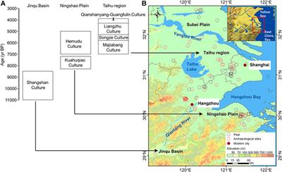 Impacts of the Wetland Environment on Demographic Development During the Neolithic in the Lower Yangtze Region—Based on Peat and Archaeological Dates